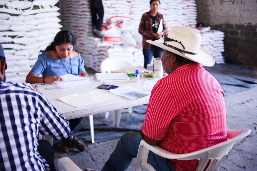 En SLP 44 mil 149 productoras y productores de maíz y frijol recibirán en mano fertilizantes para el bienestar: Gabino Morales