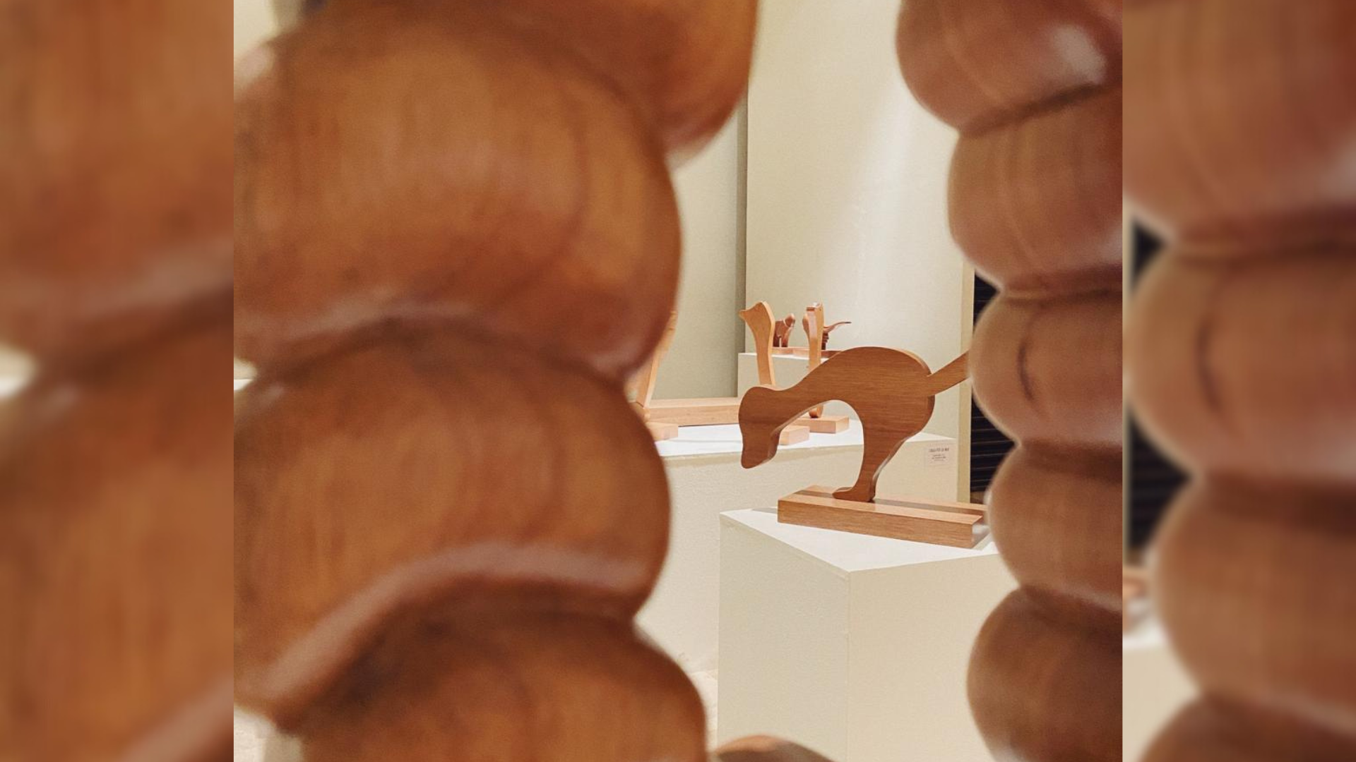 Taller de creatividad «Imaginando mi zoológico» se impartirá en el Museo Federico Silva