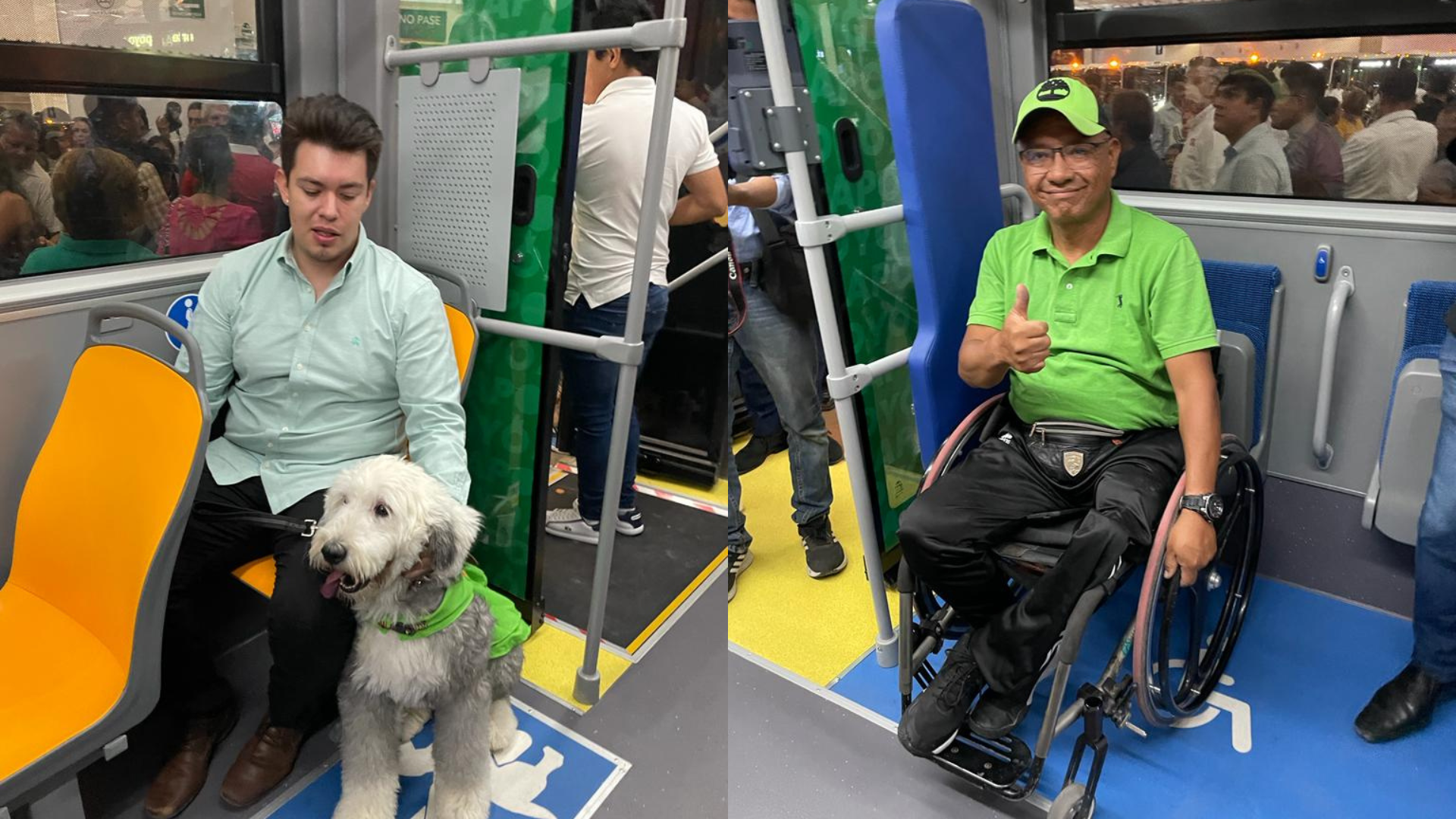 La nueva Red Metro incluirá espacios para mascotas y personas con discapacidad