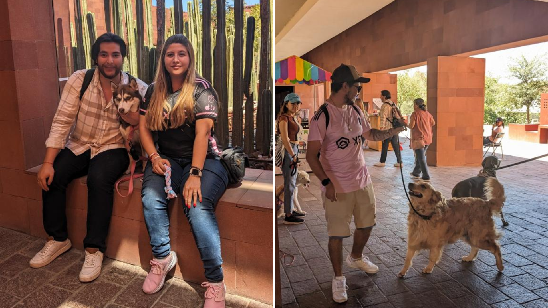 Pet Friendly Day en el Laberinto