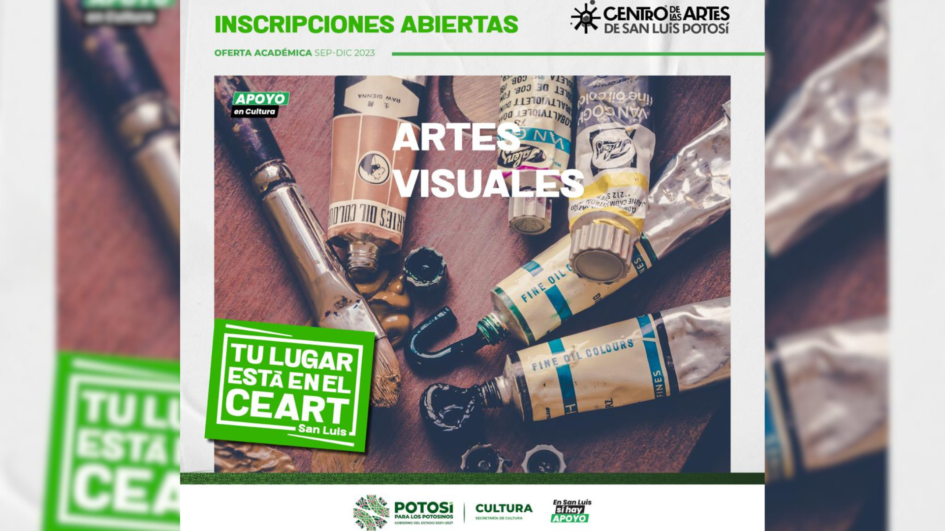 Programa de especialización en Artes Visuales