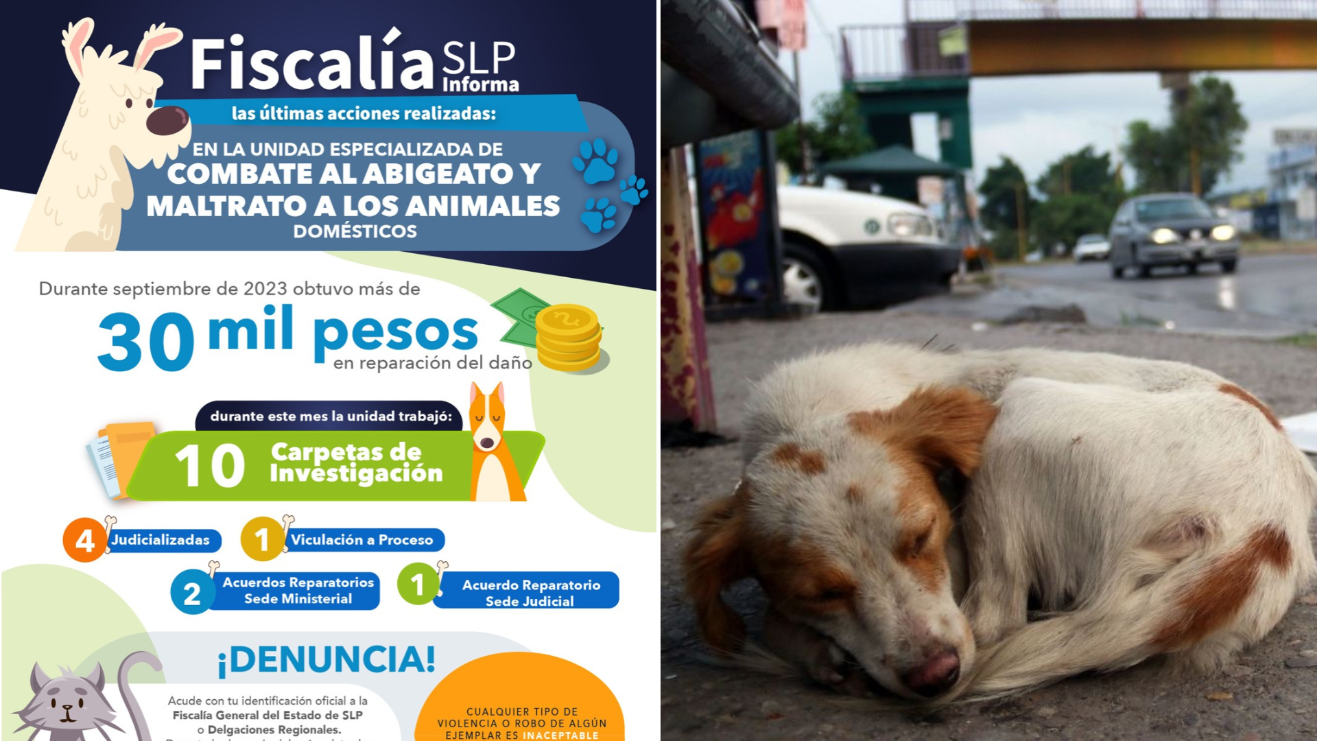 En Septiembre, Fiscalía potosina obtuvo 4 carpetas judicializadas por maltrato animal