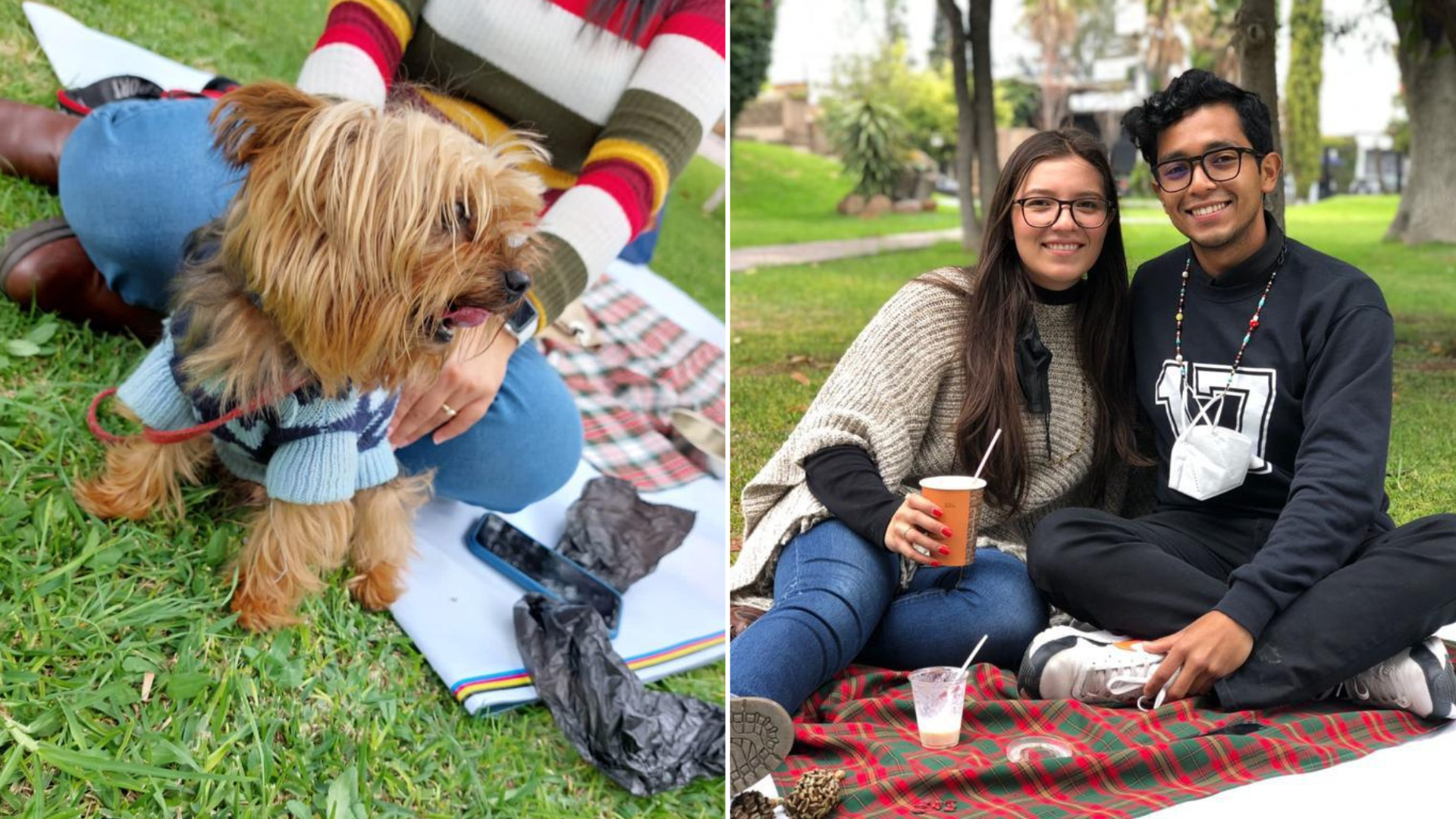 De picnic con tu mascota en el Cossío