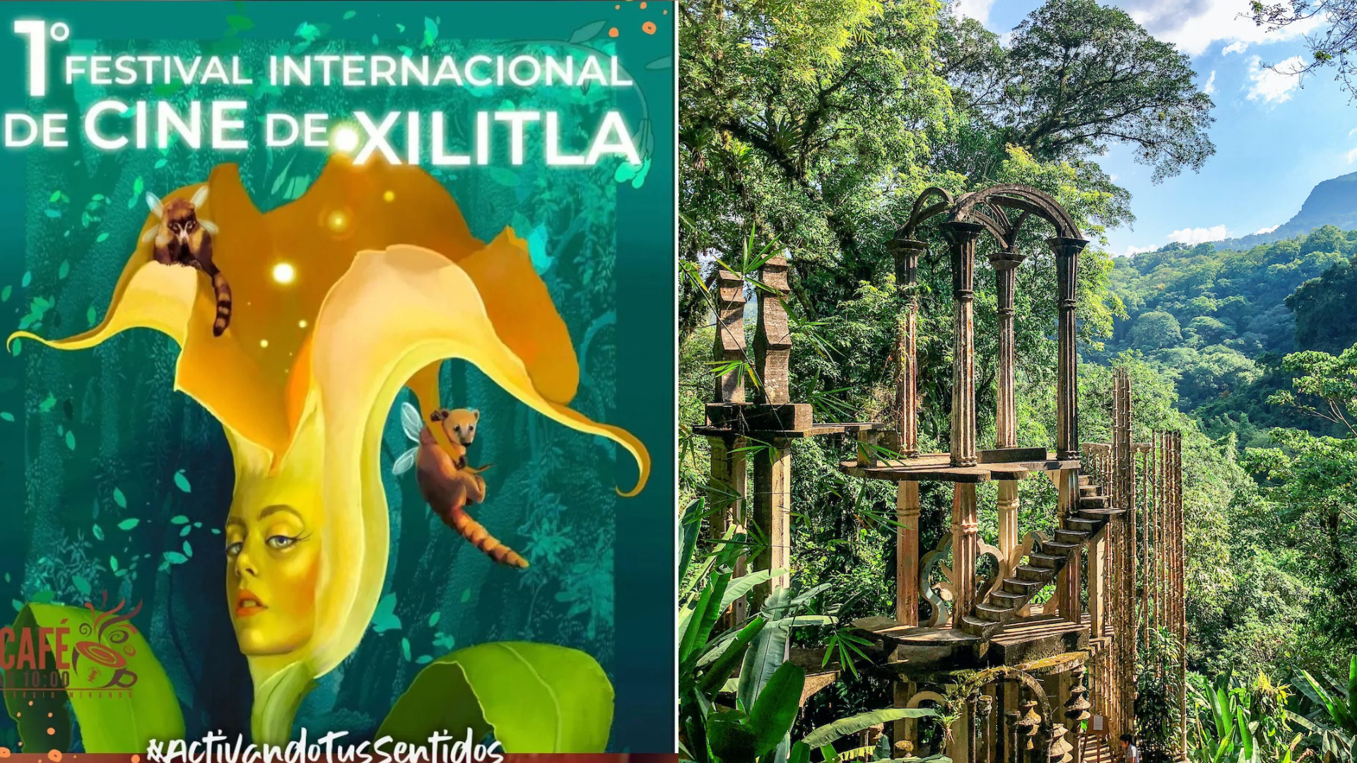 Gobierno se suma al Festival Internacional de Cine en Xilitla