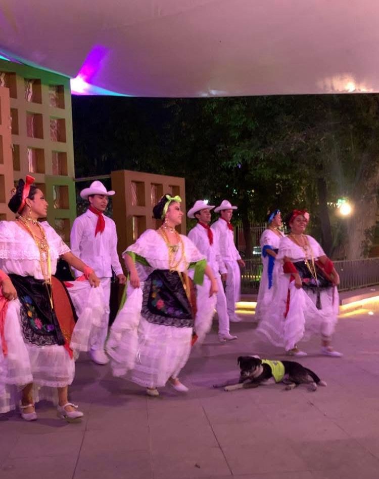 CONCIERTOS POR EL XXIV ANIVERSARIO DE LA CASA DE CULTURA DEL BARRIO DE TLAXCALA