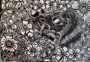 HABITAR, INTERCAMBIO GRÁFICO ENTRE AUTORAS OAXAQUEÑAS Y POTOSINAS