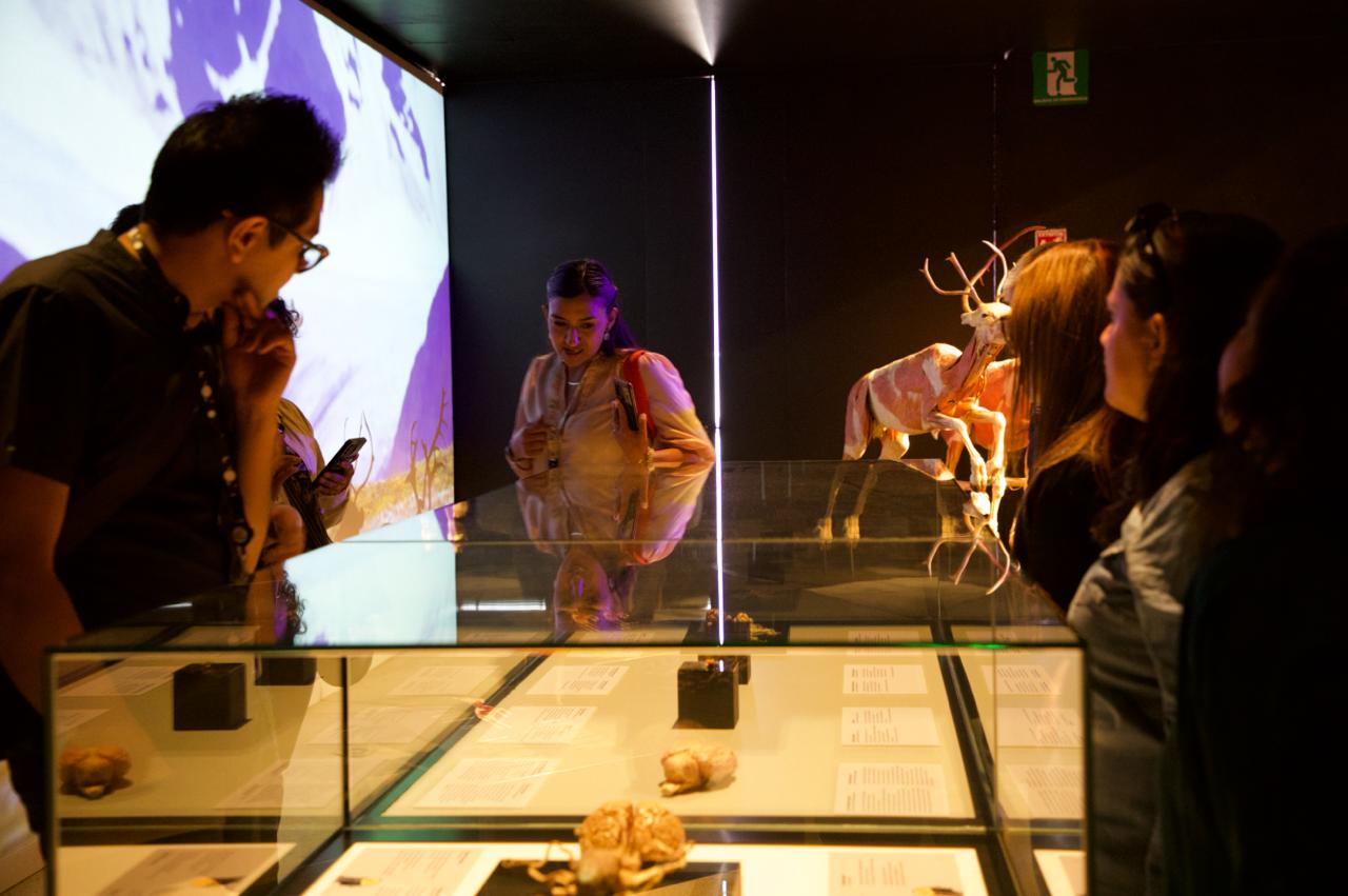 ÚLTIMO DÍA PARA DISFRUTAR DE LA EXPOSICIÓN INTERNACIONAL BODY WORLDS: ANIMAL INSIDE OUT EN EL LABERINTO