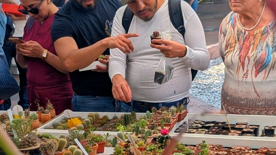 INVITAN AL 3er FESTIVAL DE LAS CACTÁCEAS EN EL MUSEO DEL FERROCARRIL